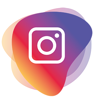 Instagram Icon