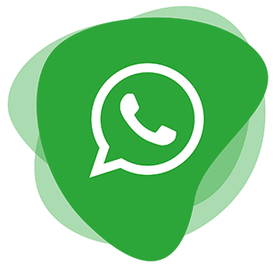 WhatsApp Icon